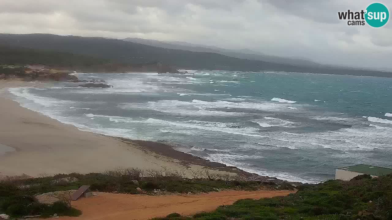 Spiaggia La Liccia webcam Rena Majore – Santa Teresa Gallura livecam Sardegna