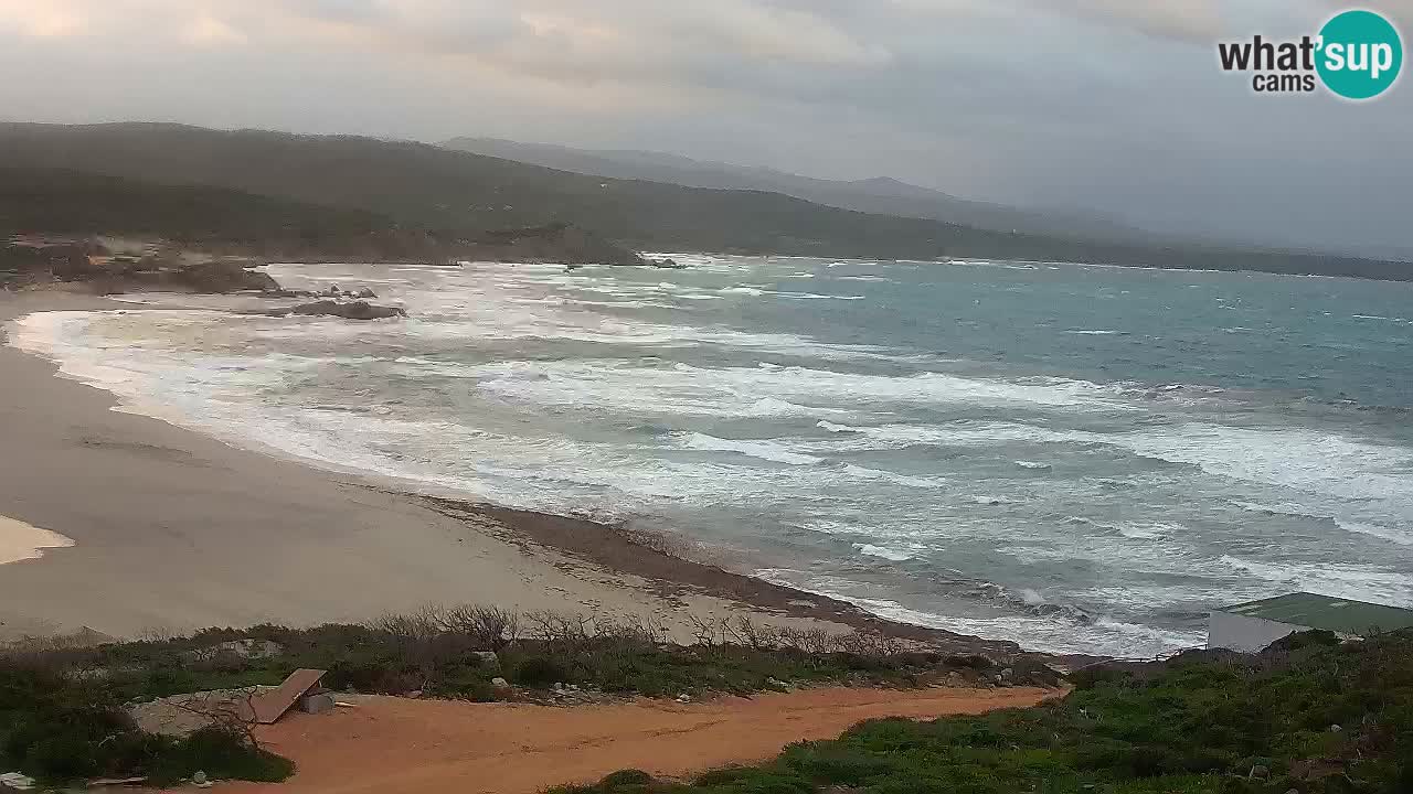 Spiaggia La Liccia webcam Rena Majore – Santa Teresa Gallura livecam Sardegna