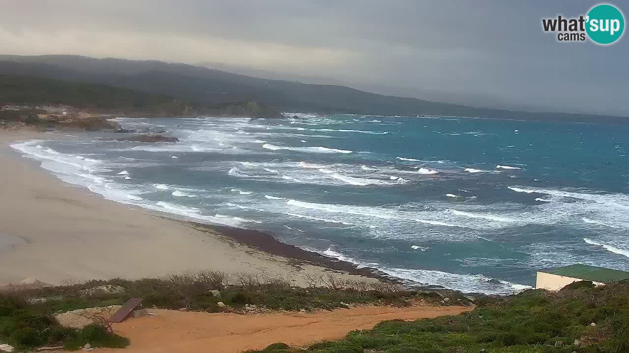 Plaža La Liccia v živo Rena Majore – Santa Teresa Gallura spletna kamera Sardinija