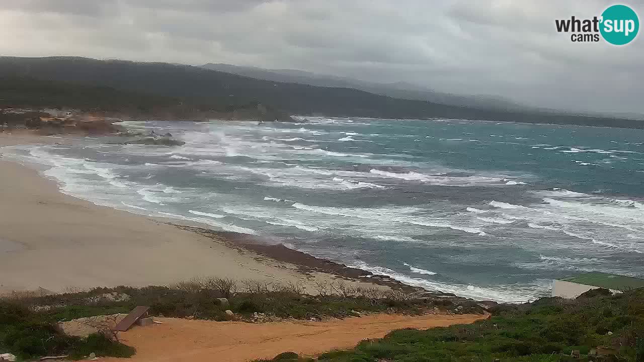 La Liccia playa webcam Rena Majore – Santa Teresa Gallura en vivo Cerdeña