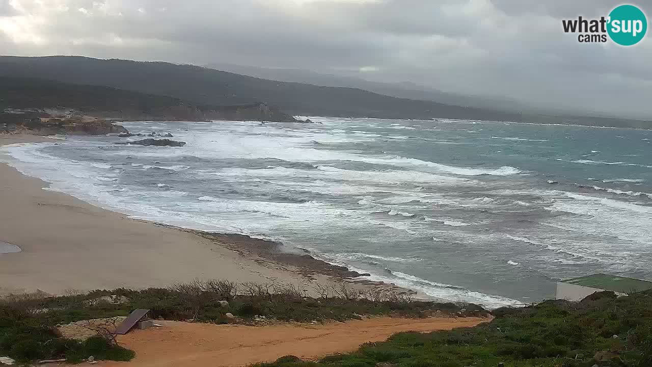 La Liccia beach webcam Rena Majore – Santa Teresa Gallura livecam Sardinia