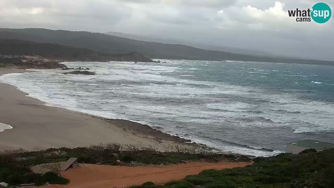 Spiaggia La Liccia webcam Rena Majore – Santa Teresa Gallura livecam Sardegna