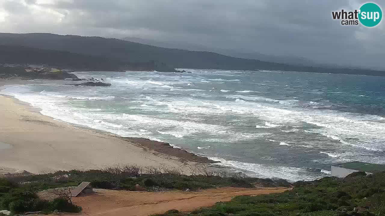 Plaža La Liccia v živo Rena Majore – Santa Teresa Gallura spletna kamera Sardinija