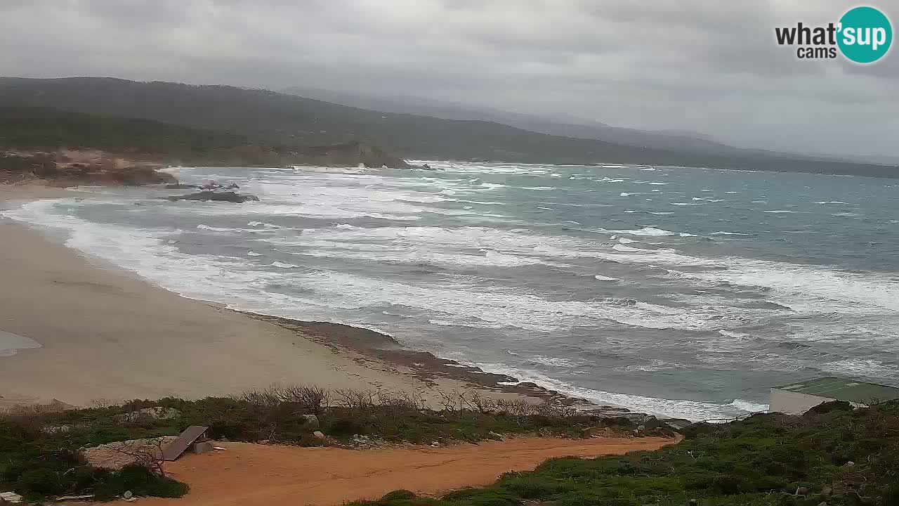 Plaža La Liccia v živo Rena Majore – Santa Teresa Gallura spletna kamera Sardinija