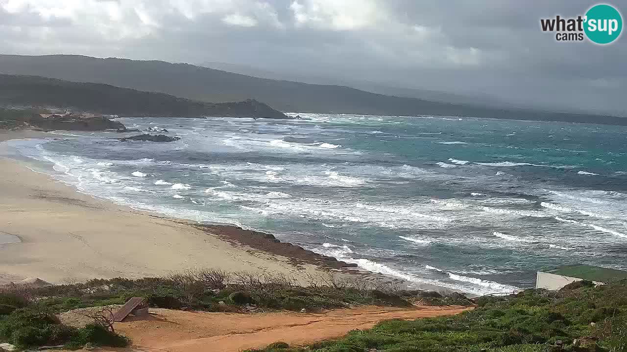 Plaža La Liccia v živo Rena Majore – Santa Teresa Gallura spletna kamera Sardinija