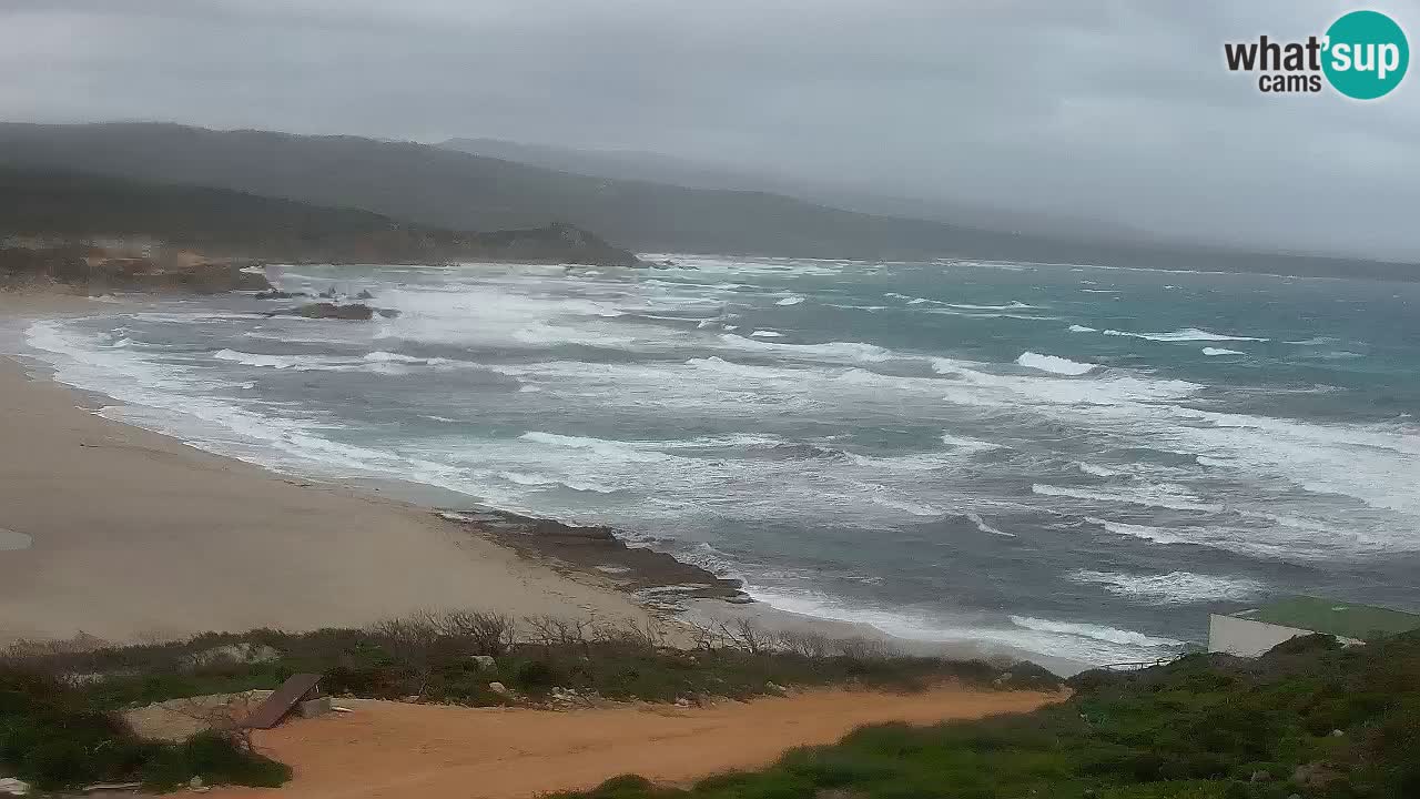 La Liccia beach webcam Rena Majore – Santa Teresa Gallura livecam Sardinia