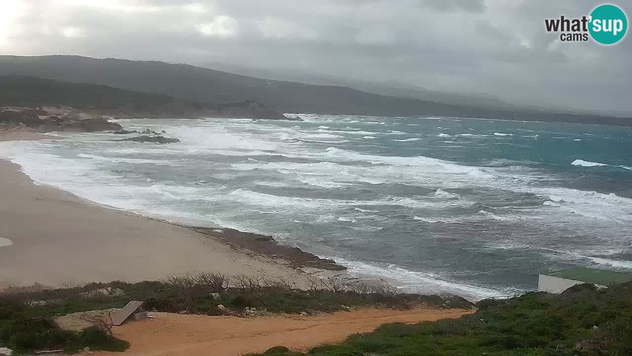 Spiaggia La Liccia webcam Rena Majore – Santa Teresa Gallura livecam Sardegna