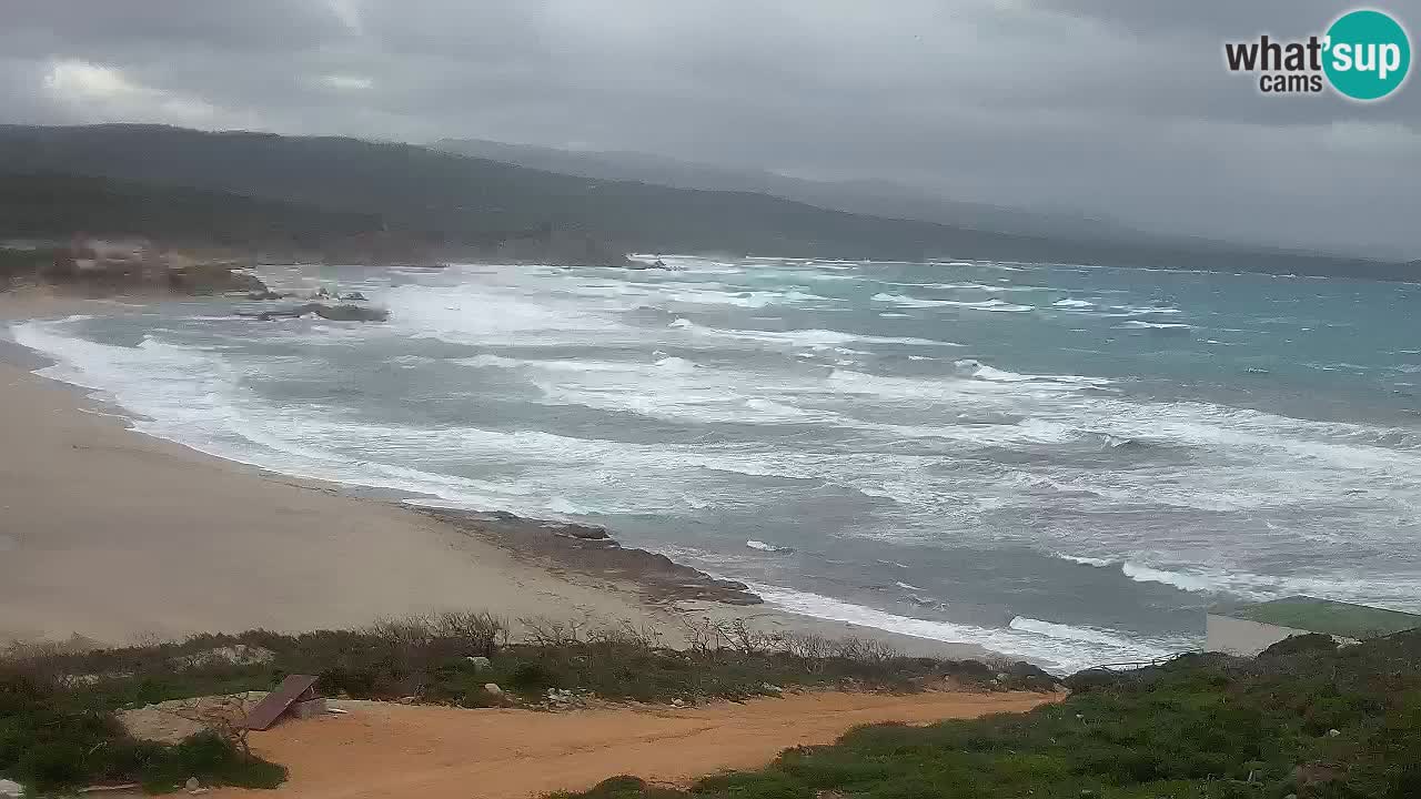 Spiaggia La Liccia webcam Rena Majore – Santa Teresa Gallura livecam Sardegna