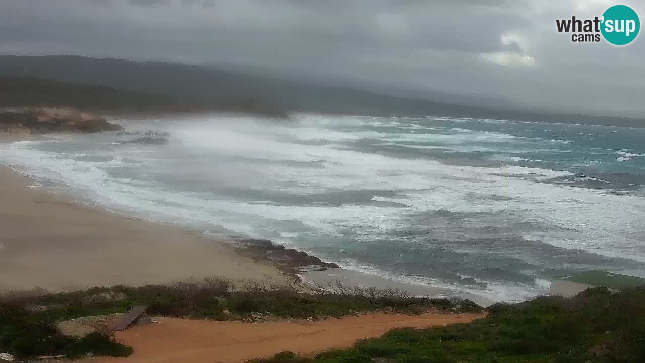 Plaža La Liccia u živo Rena Majore – Santa Teresa Gallura web kamera Sardinija