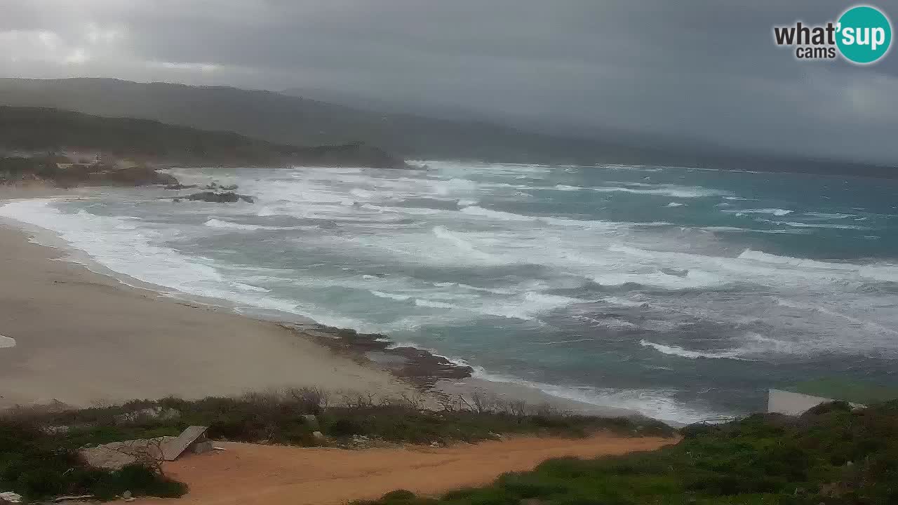 Plaža La Liccia u živo Rena Majore – Santa Teresa Gallura web kamera Sardinija