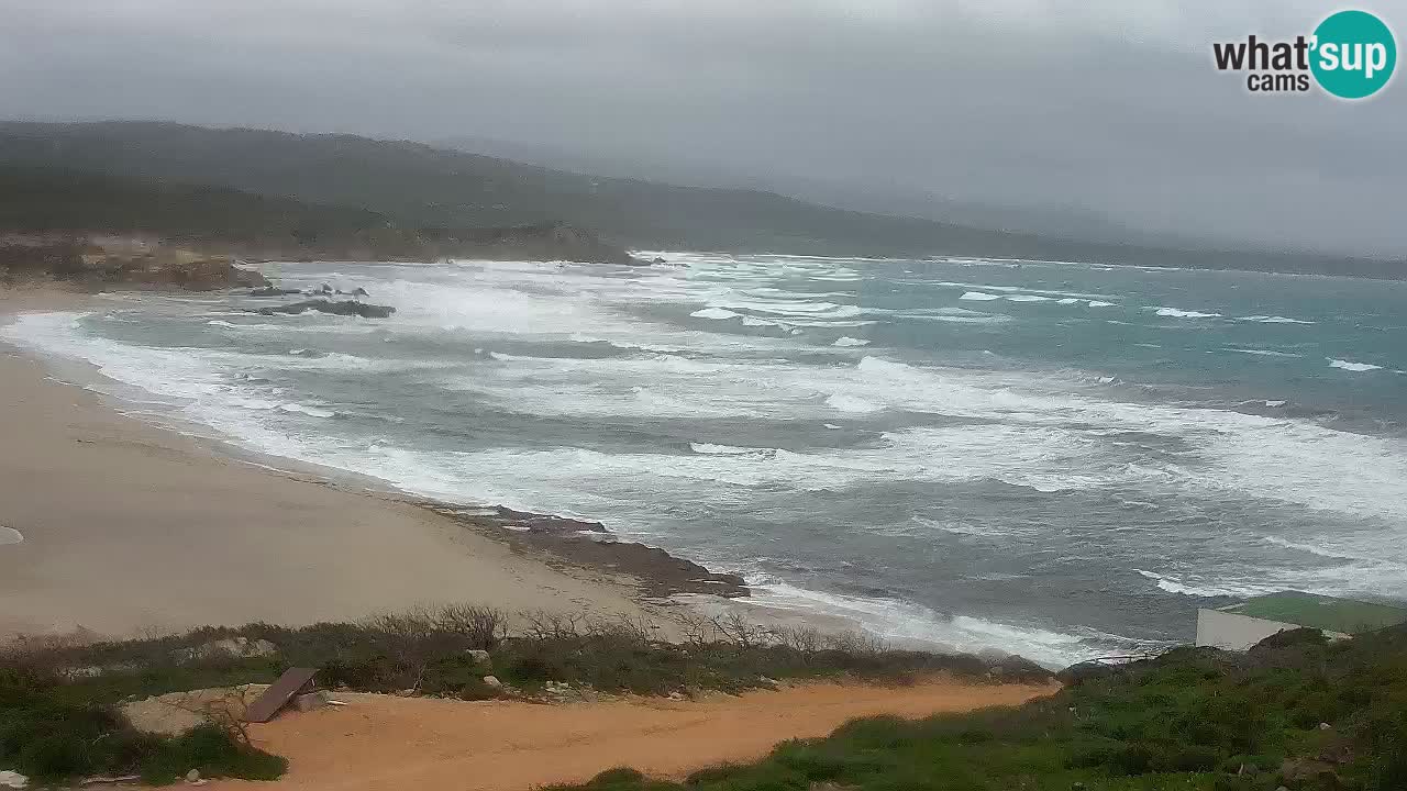 La Liccia playa webcam Rena Majore – Santa Teresa Gallura en vivo Cerdeña