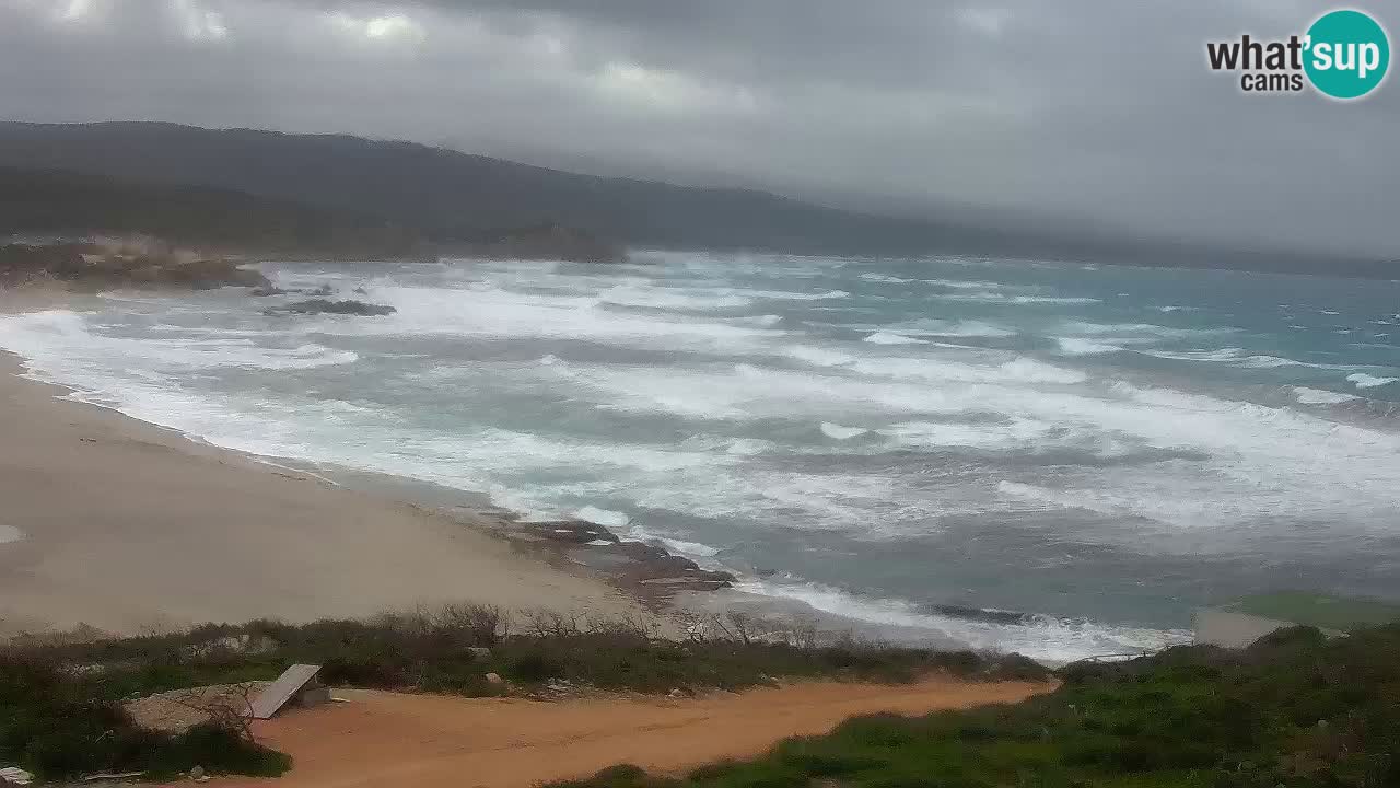 Spiaggia La Liccia webcam Rena Majore – Santa Teresa Gallura livecam Sardegna