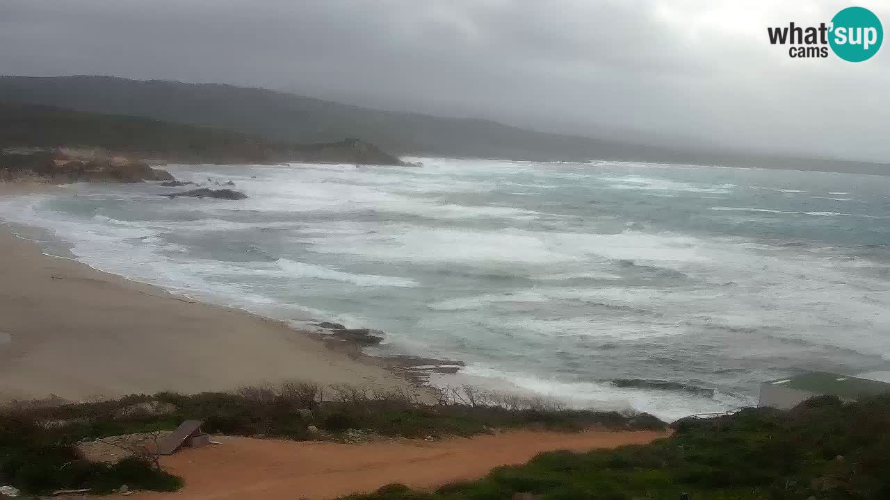 Plaža La Liccia u živo Rena Majore – Santa Teresa Gallura web kamera Sardinija