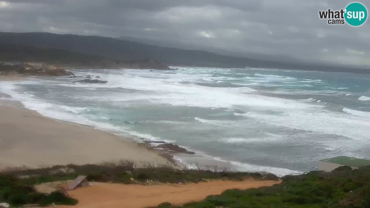 La Liccia playa webcam Rena Majore – Santa Teresa Gallura en vivo Cerdeña