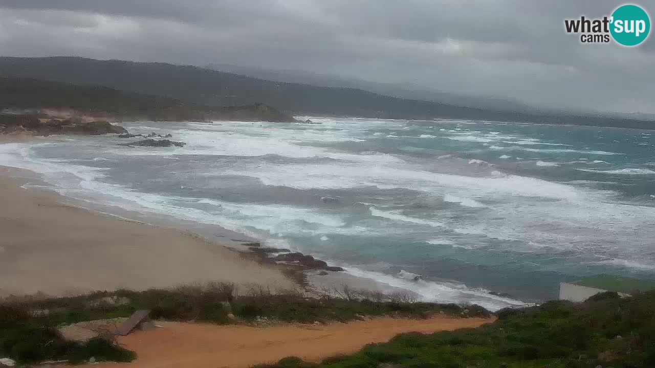 La Liccia beach webcam Rena Majore – Santa Teresa Gallura livecam Sardinia