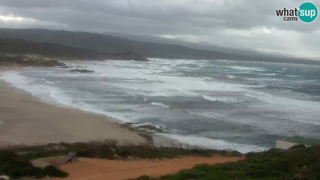 Plaža La Liccia v živo Rena Majore – Santa Teresa Gallura spletna kamera Sardinija