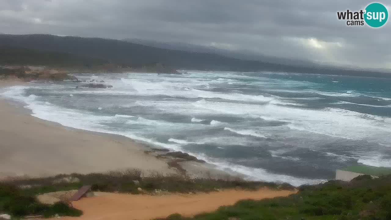 La Liccia Strand webcam Rena Majore – Santa Teresa Gallura live cam Sardinien