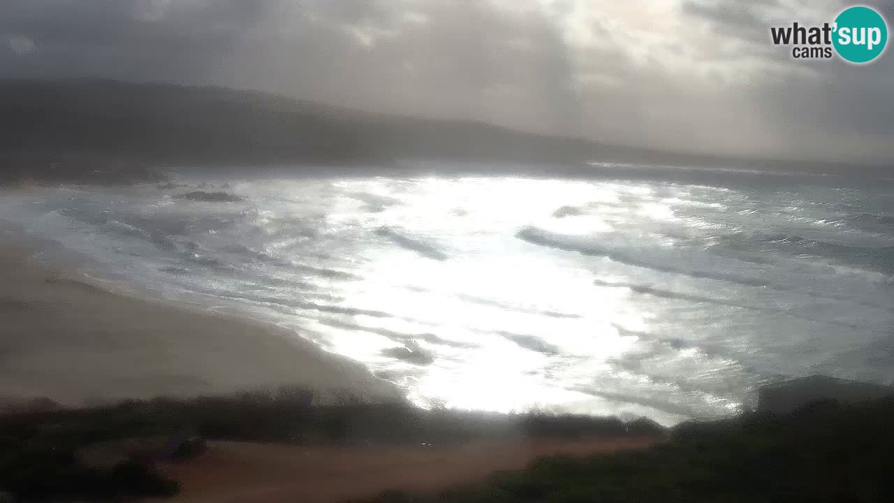 La Liccia beach webcam Rena Majore – Santa Teresa Gallura livecam Sardinia