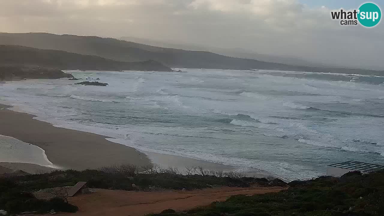 Spiaggia La Liccia webcam Rena Majore – Santa Teresa Gallura livecam Sardegna