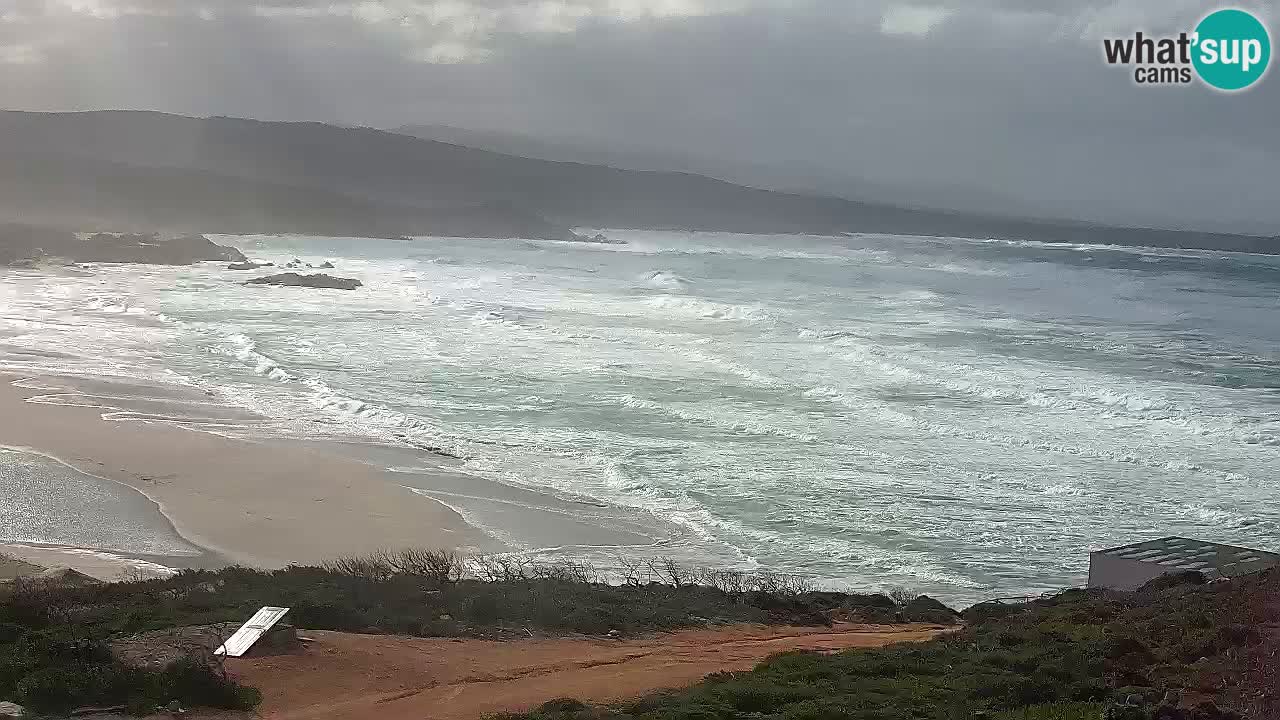 La Liccia playa webcam Rena Majore – Santa Teresa Gallura en vivo Cerdeña