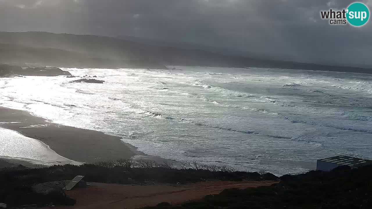 Plaža La Liccia v živo Rena Majore – Santa Teresa Gallura spletna kamera Sardinija