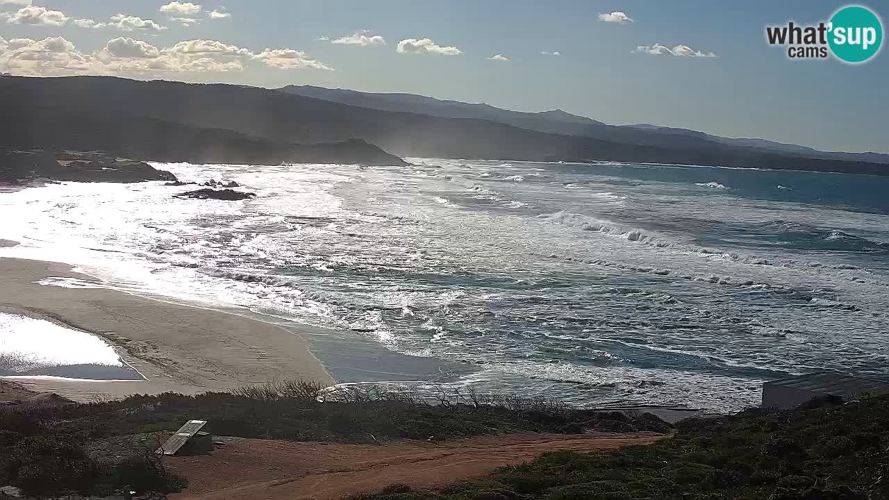 Plaža La Liccia v živo Rena Majore – Santa Teresa Gallura spletna kamera Sardinija