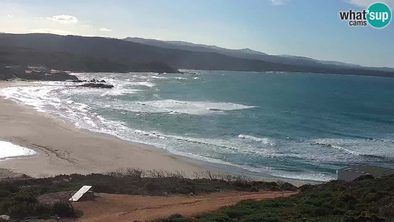 Spiaggia La Liccia webcam Rena Majore – Santa Teresa Gallura livecam Sardegna