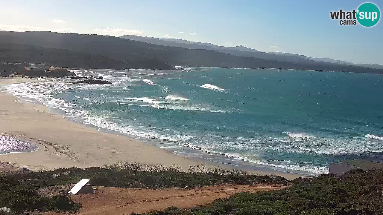 Spiaggia La Liccia webcam Rena Majore – Santa Teresa Gallura livecam Sardegna