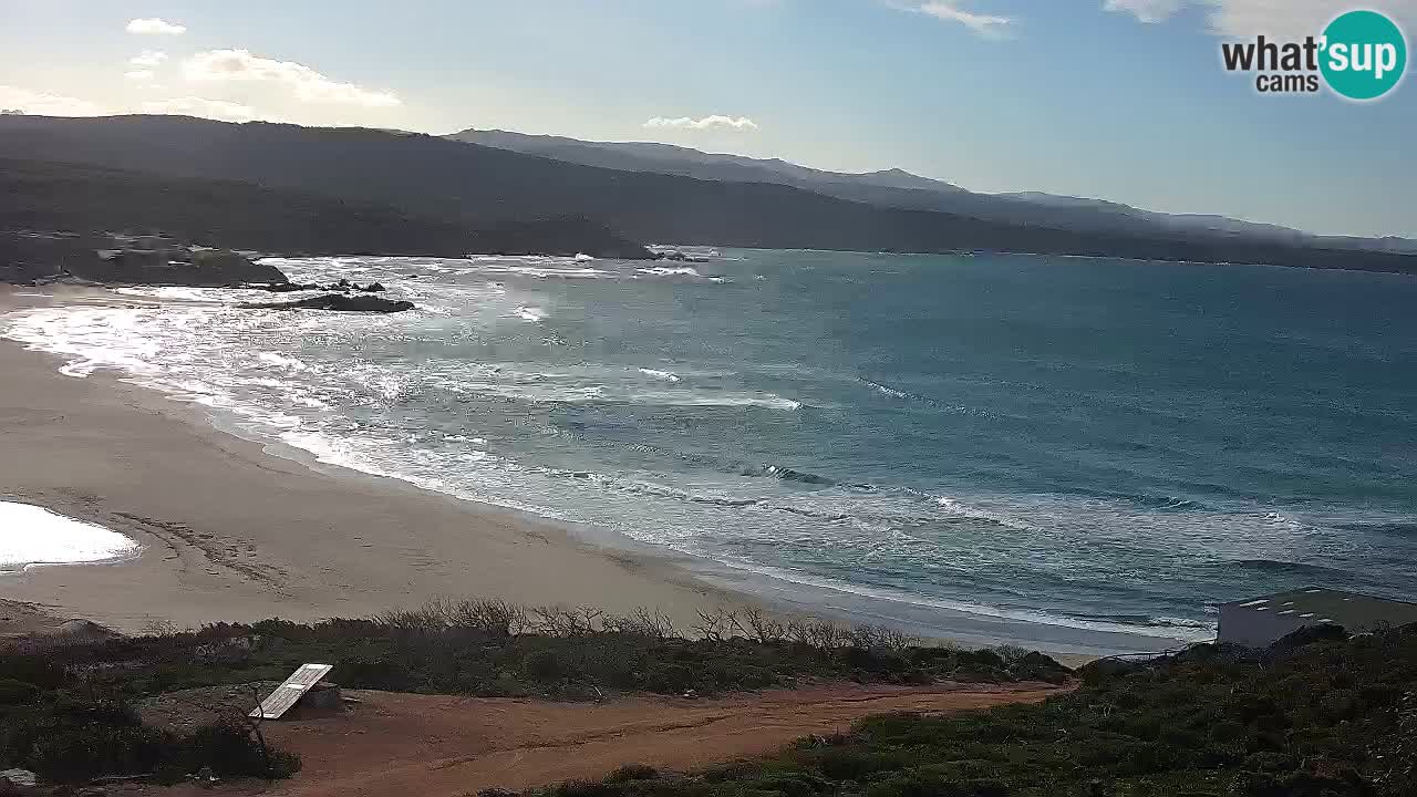 Spiaggia La Liccia webcam Rena Majore – Santa Teresa Gallura livecam Sardegna