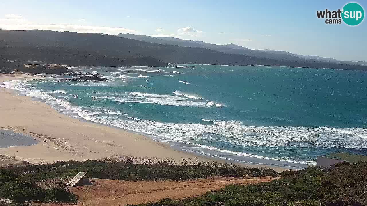 Spiaggia La Liccia webcam Rena Majore – Santa Teresa Gallura livecam Sardegna