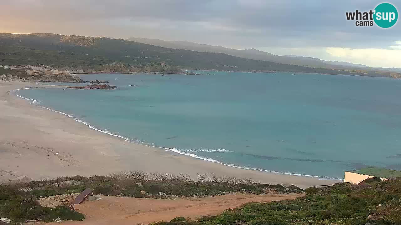 Plaža La Liccia v živo Rena Majore – Santa Teresa Gallura spletna kamera Sardinija