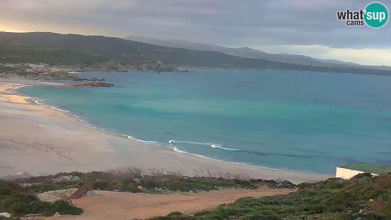 Plaža La Liccia v živo Rena Majore – Santa Teresa Gallura spletna kamera Sardinija