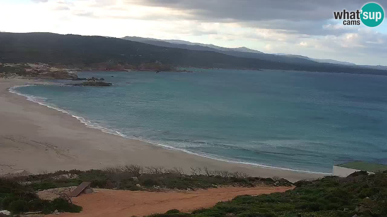 La Liccia beach webcam Rena Majore – Santa Teresa Gallura livecam Sardinia