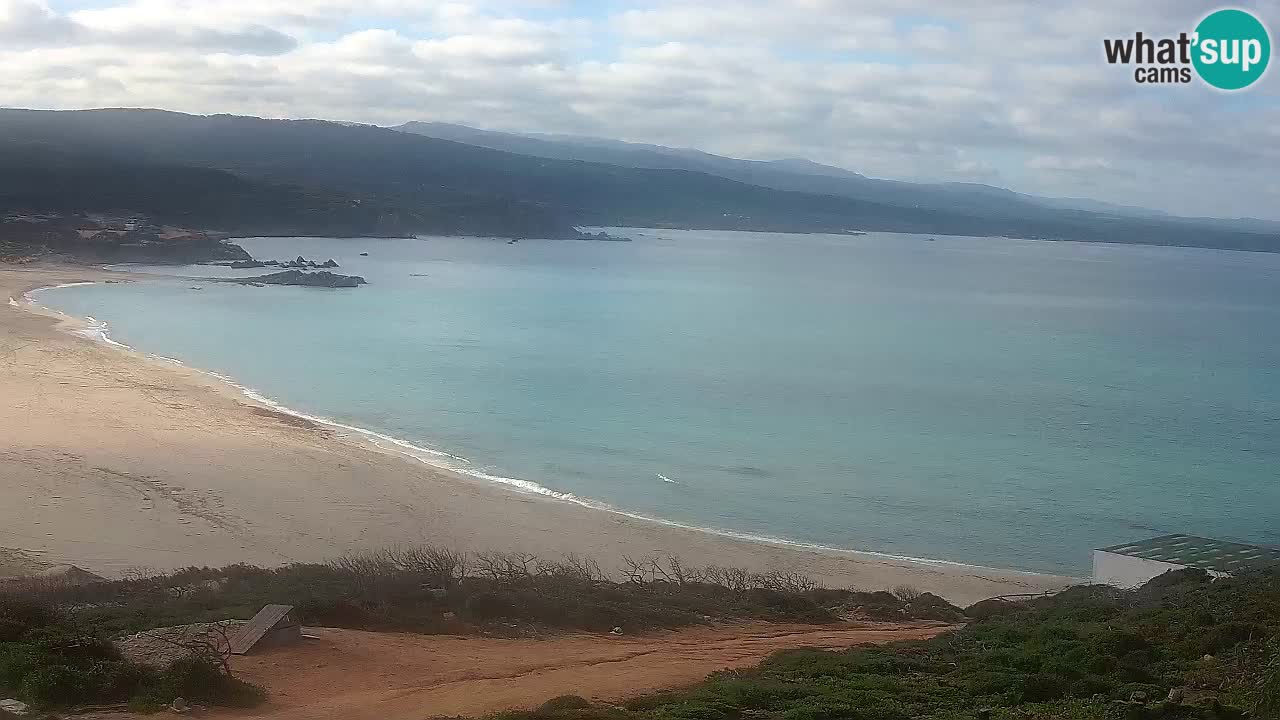 Plaža La Liccia v živo Rena Majore – Santa Teresa Gallura spletna kamera Sardinija