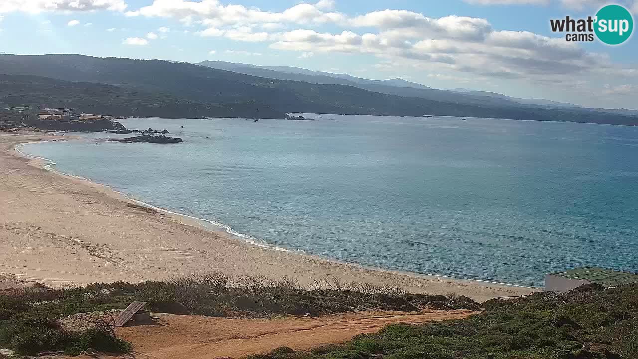 Plaža La Liccia v živo Rena Majore – Santa Teresa Gallura spletna kamera Sardinija