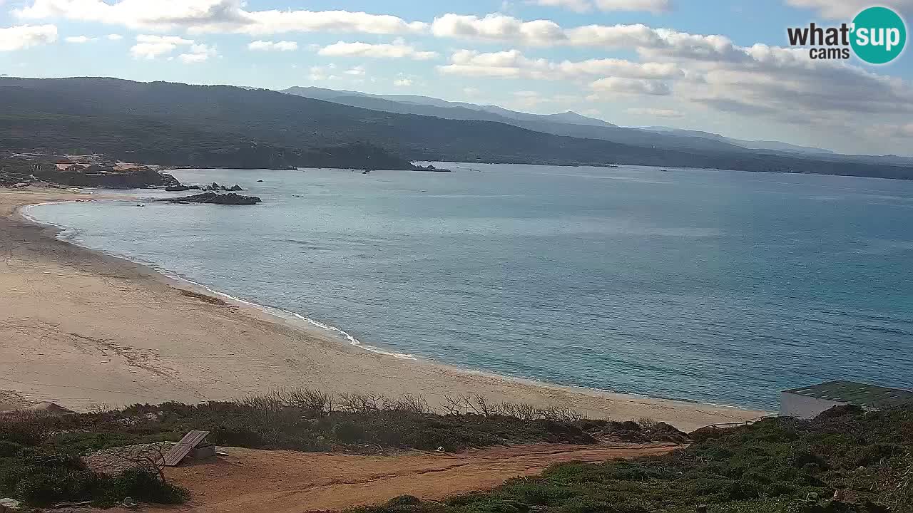 Plaža La Liccia v živo Rena Majore – Santa Teresa Gallura spletna kamera Sardinija