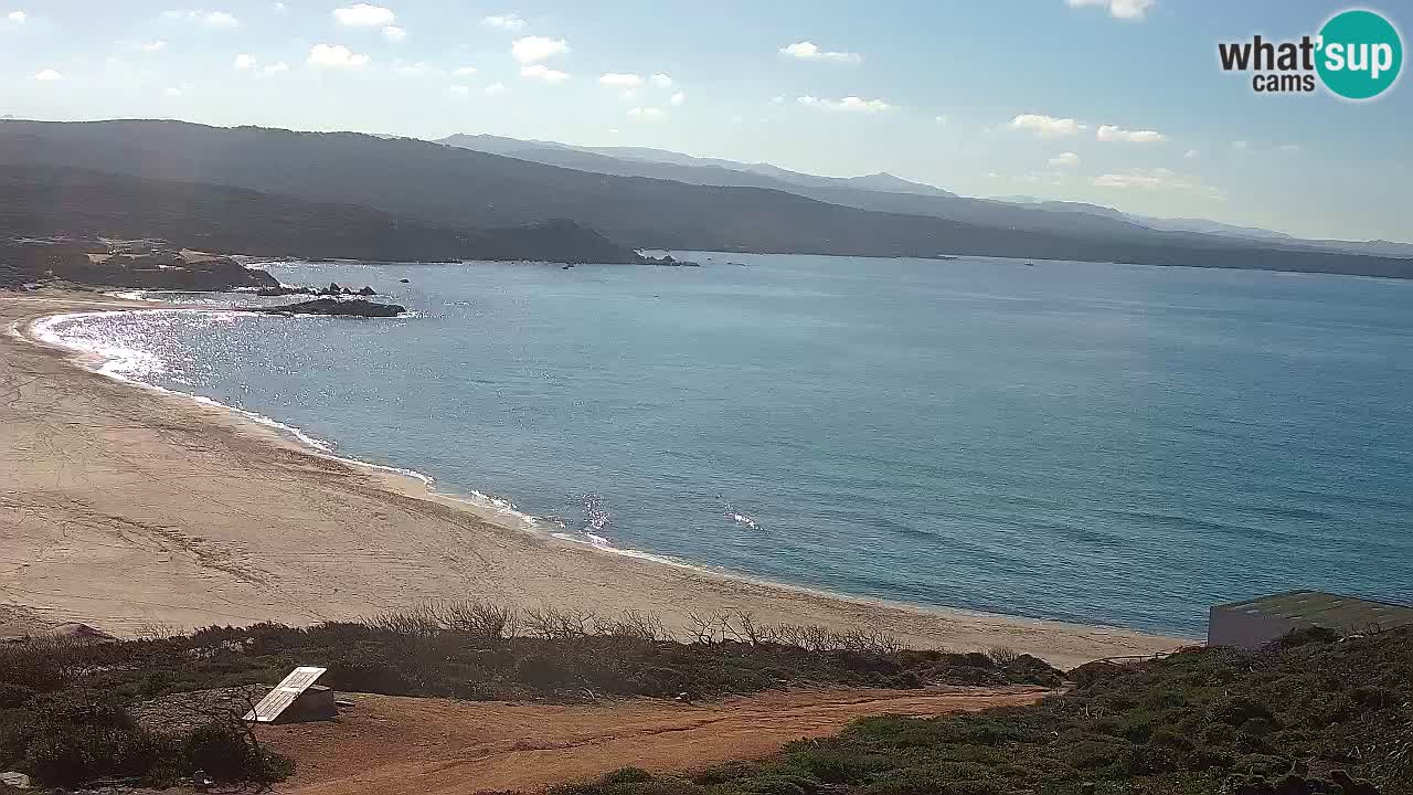 Plaža La Liccia v živo Rena Majore – Santa Teresa Gallura spletna kamera Sardinija