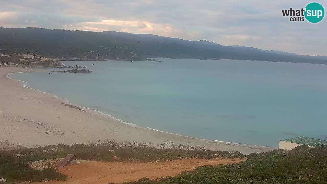 La Liccia beach webcam Rena Majore – Santa Teresa Gallura livecam Sardinia