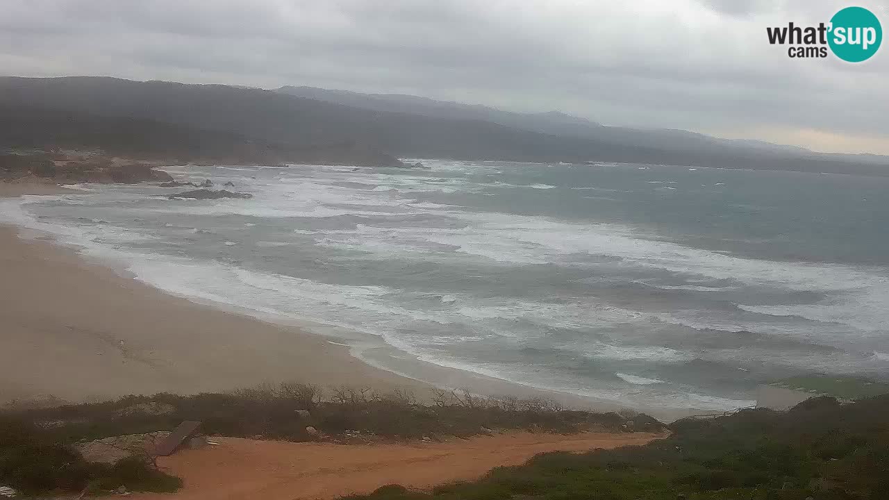 Plaža La Liccia v živo Rena Majore – Santa Teresa Gallura spletna kamera Sardinija