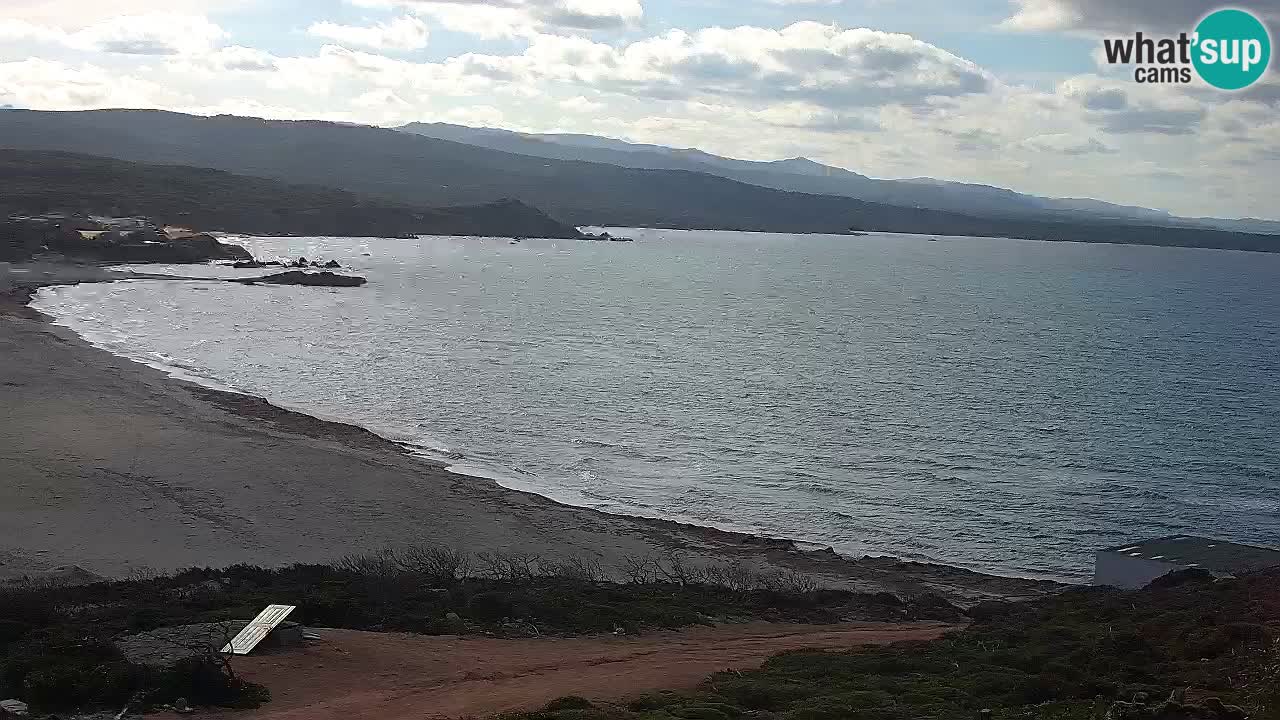 Plaža La Liccia v živo Rena Majore – Santa Teresa Gallura spletna kamera Sardinija