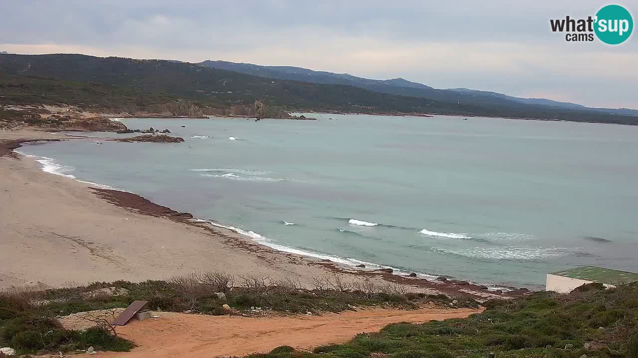 Plaža La Liccia v živo Rena Majore – Santa Teresa Gallura spletna kamera Sardinija