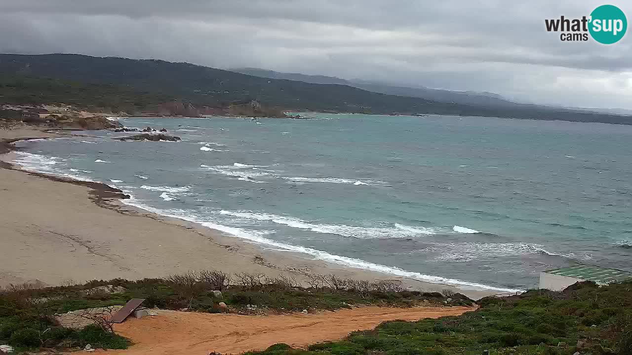 Plaža La Liccia u živo Rena Majore – Santa Teresa Gallura web kamera Sardinija