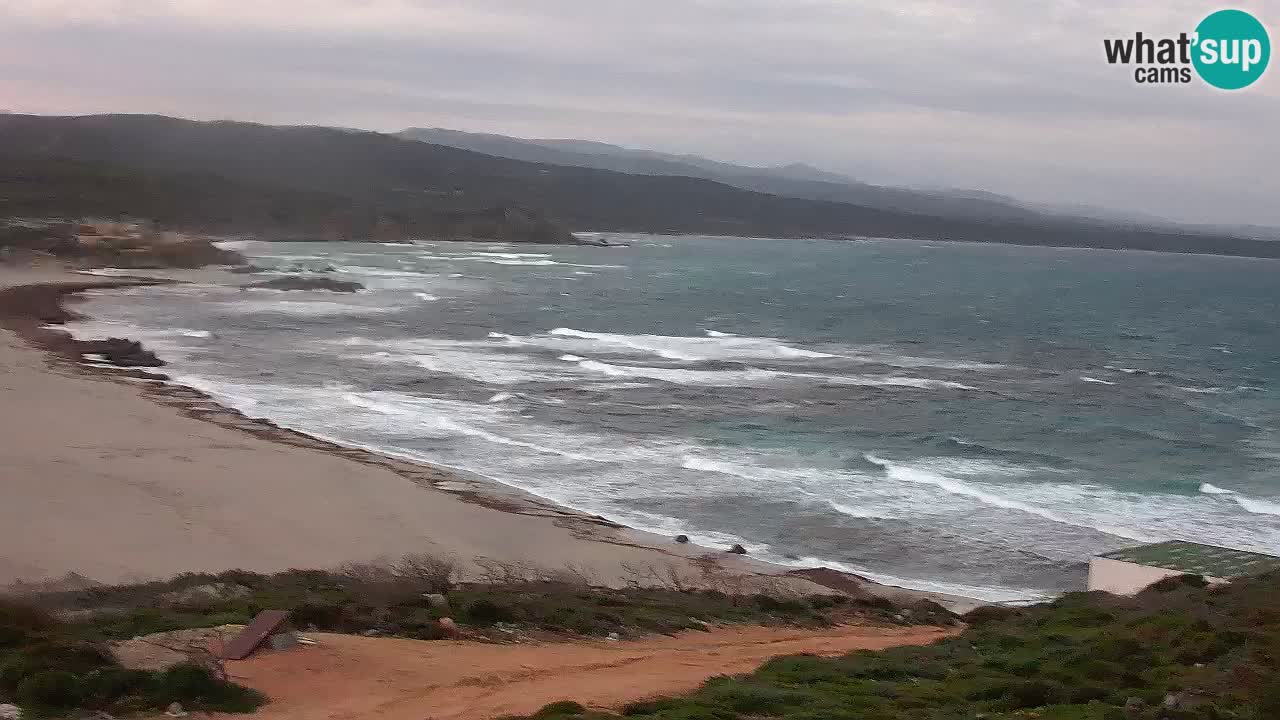 Spiaggia La Liccia webcam Rena Majore – Santa Teresa Gallura livecam Sardegna