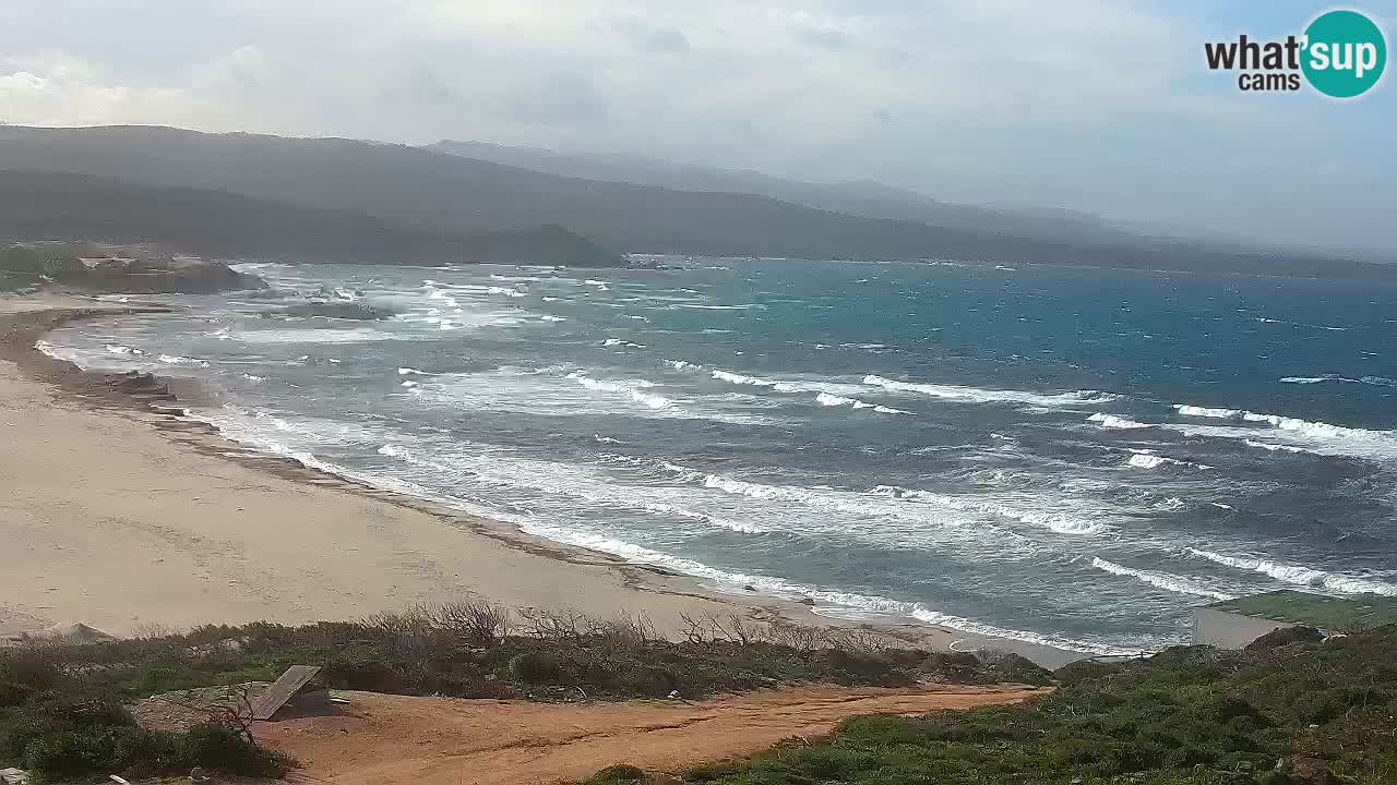 Plaža La Liccia v živo Rena Majore – Santa Teresa Gallura spletna kamera Sardinija