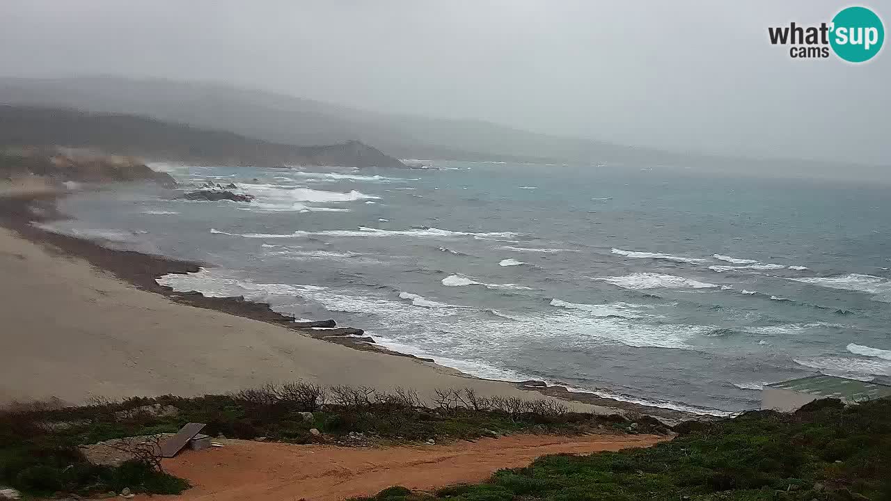 Plaža La Liccia v živo Rena Majore – Santa Teresa Gallura spletna kamera Sardinija