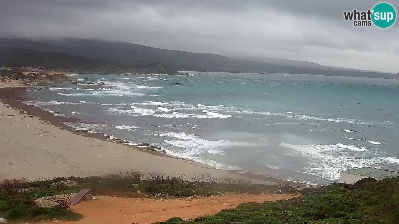 La Liccia beach webcam Rena Majore – Santa Teresa Gallura livecam Sardinia