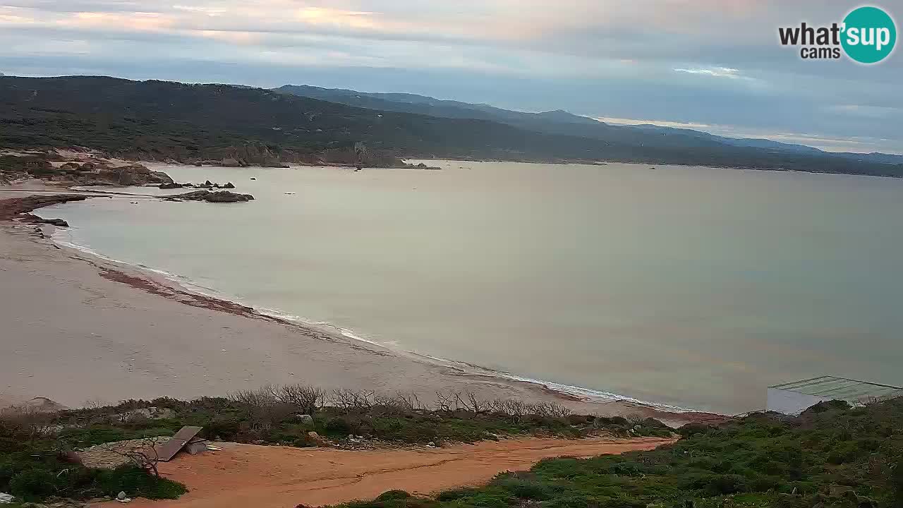 Plaža La Liccia v živo Rena Majore – Santa Teresa Gallura spletna kamera Sardinija