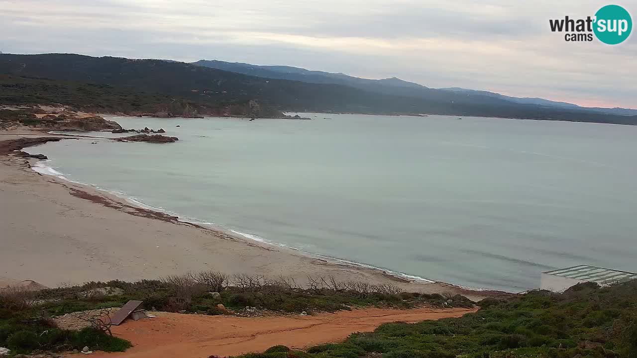 Plaža La Liccia u živo Rena Majore – Santa Teresa Gallura web kamera Sardinija