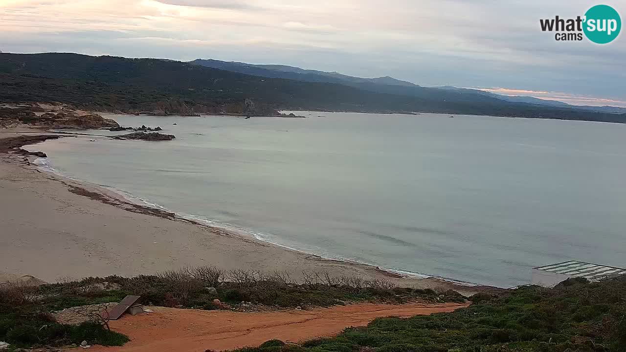 Spiaggia La Liccia webcam Rena Majore – Santa Teresa Gallura livecam Sardegna