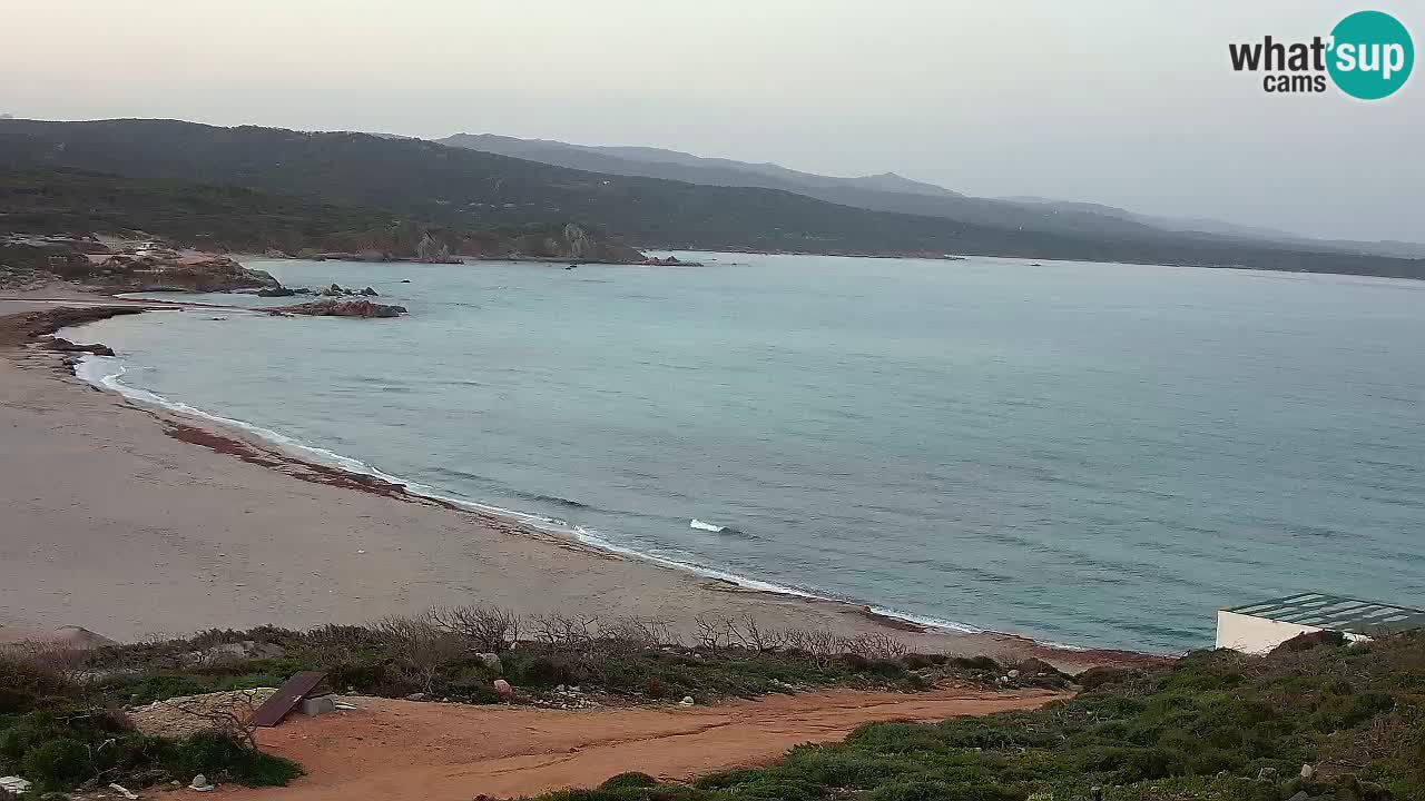 Plaža La Liccia u živo Rena Majore – Santa Teresa Gallura web kamera Sardinija